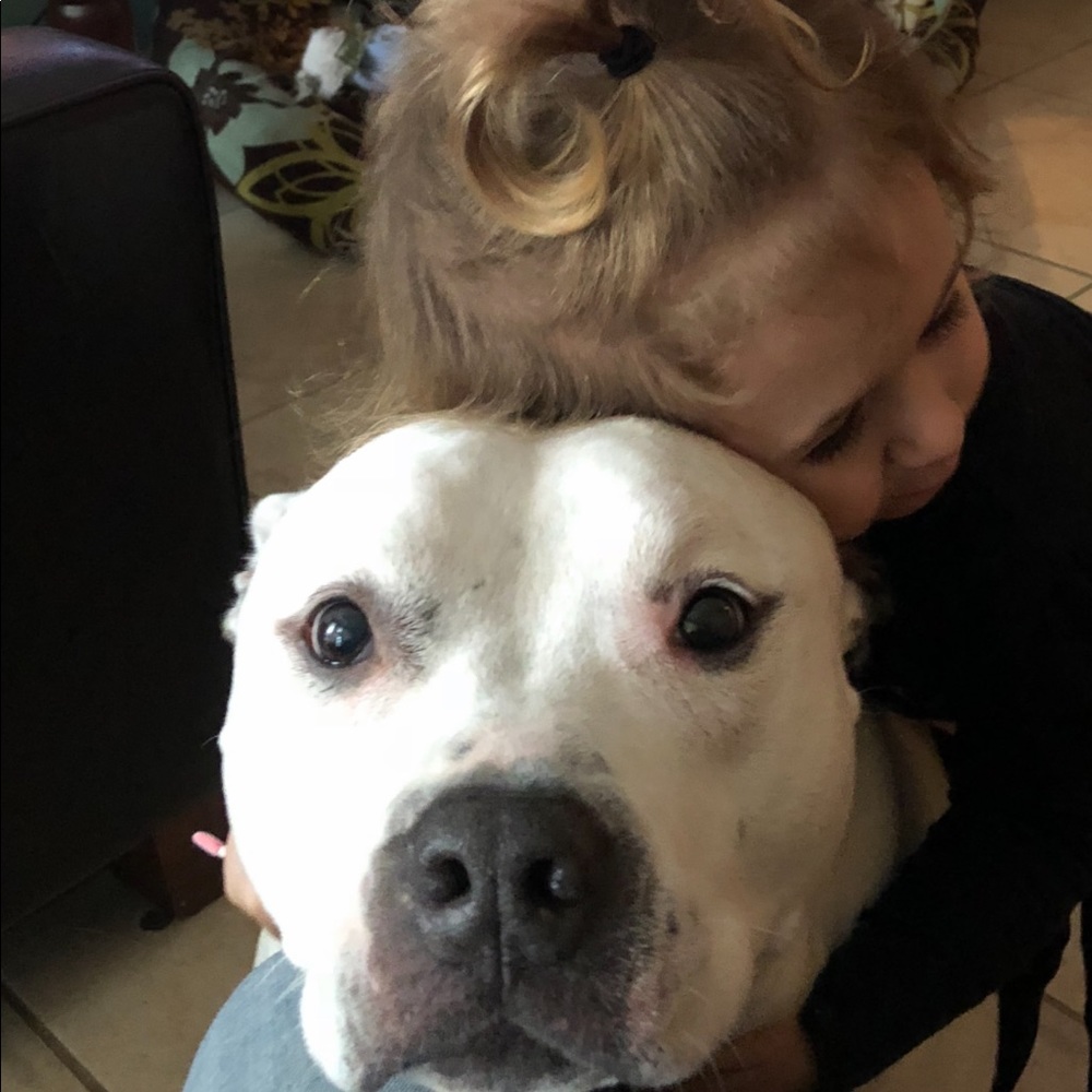 Love of fur babies